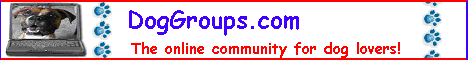 DogGroups.com - The online community for dog lovers!